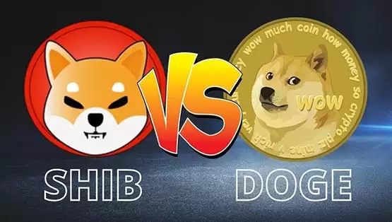 一文详细了解SHIB币和DOGE币哪个潜力大？