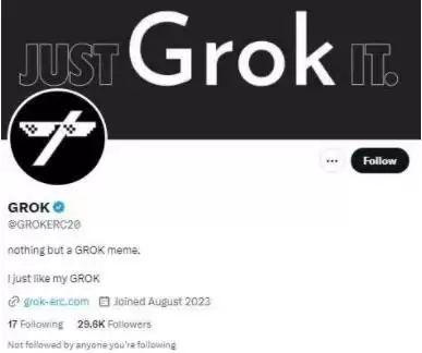 Grok是什么币种？Grok币价格走势及未来潜力分析