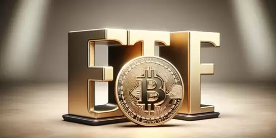 Matrixport分析师:比特币现货ETF经历2周!机构投资者并不买单