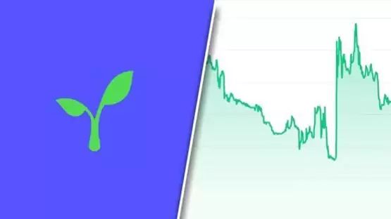 RAD币挖矿教程:一文掌握质押挖矿全流程