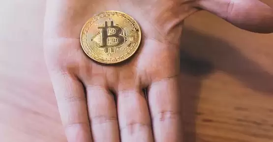 比特币采用率逐步上升！BTC Map：2023年超6300家商店支持BTC支付