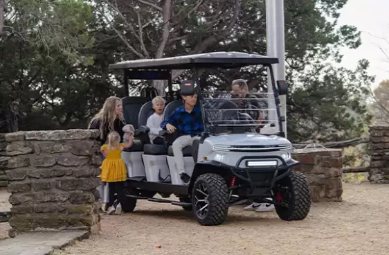 涛涛车业赴港上市:在美国卖“老头乐”年入29亿