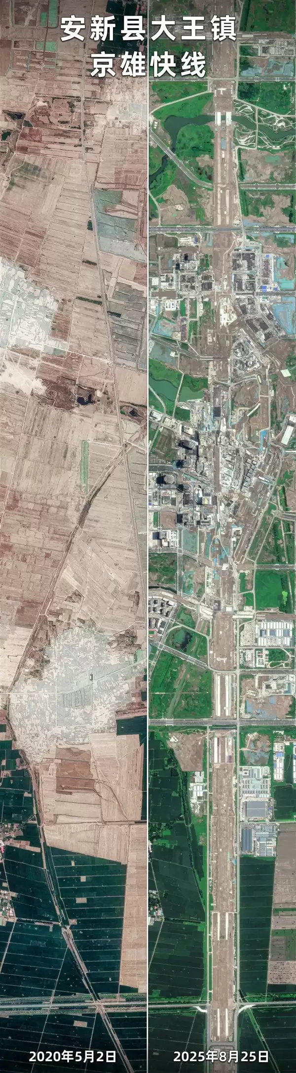 卫星眼中的雄安速度!从2020到2025 绿化与大楼同生长