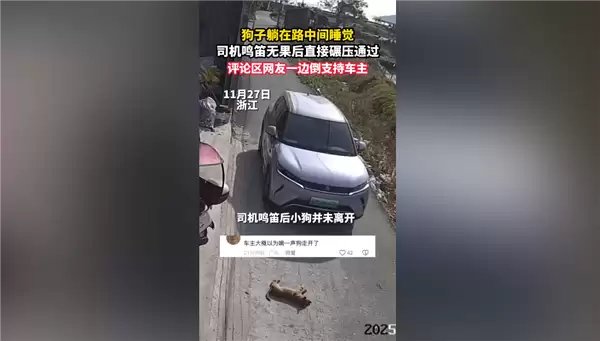 狗在路中间睡觉司机鸣笛无效后碾压+网友吵翻：到底要负责吗