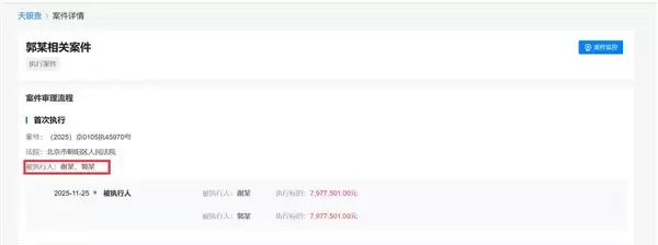 嘎子哥夫妇再被执行797万：此前已被执行超1400万