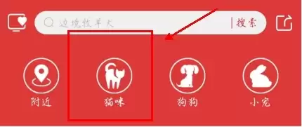 宠物市场app宠物挑选教程