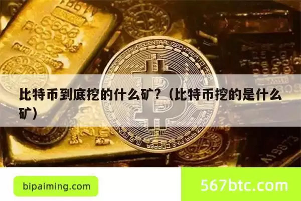 比特币到底挖的什么矿?(比特币挖的是什么矿)
