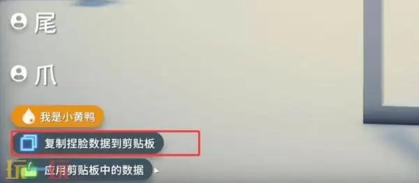 逃离鸭科夫捏脸数据怎么用 捏脸数据导入使用方法详情