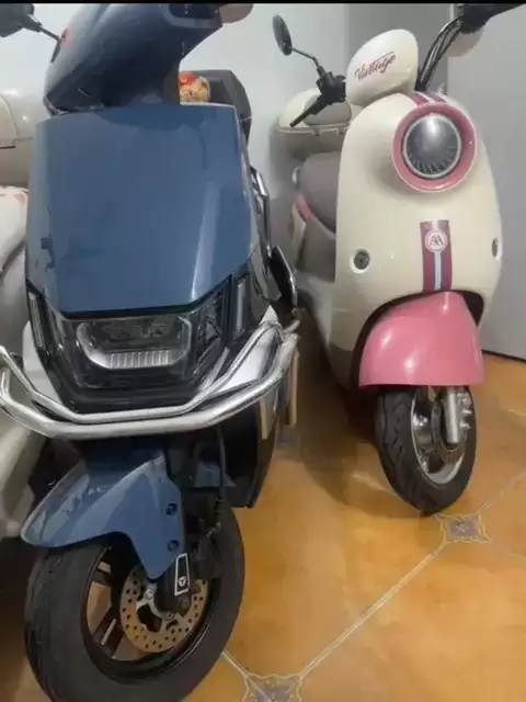 旧标电动车退市引发清仓潮