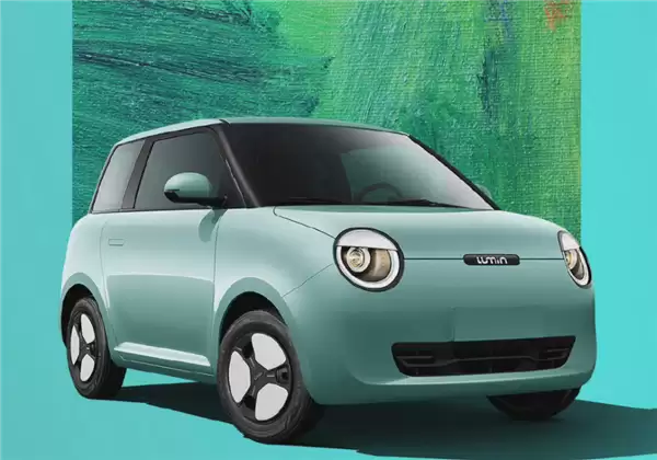 长安糯玉米提车4天后轮抱死 女车主:我以为车着了