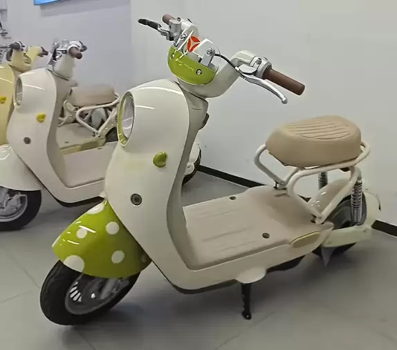 新国标落地引争议，电动自行车优化提速