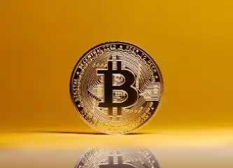 TLM币是什么币种？