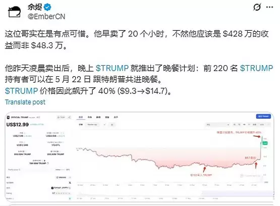 TRUMP代币投资者