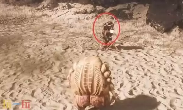 光与影33号远征队商人合集:商人可拉罗点位与售货单简介