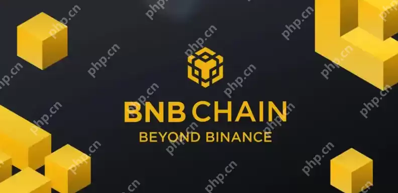 币安链上是啥意思？币安链上怎么注册安装？ - 本站