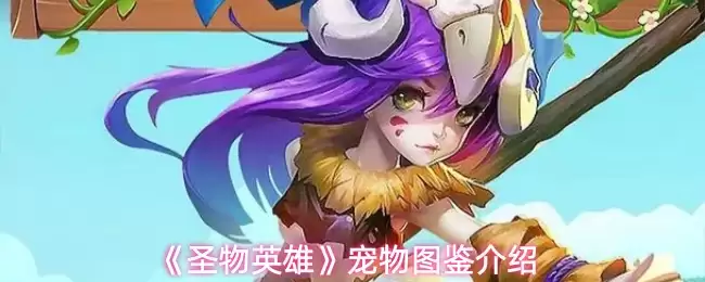 《圣物英雄》宠物图鉴介绍