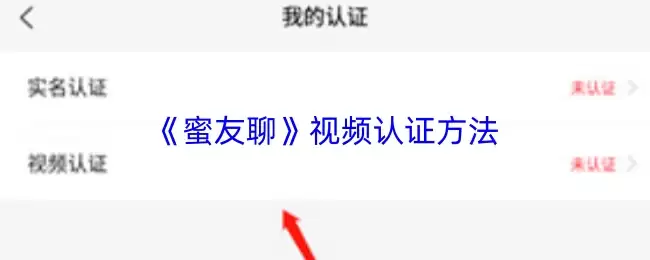 《蜜友聊》视频认证方法