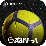 实战十一人正