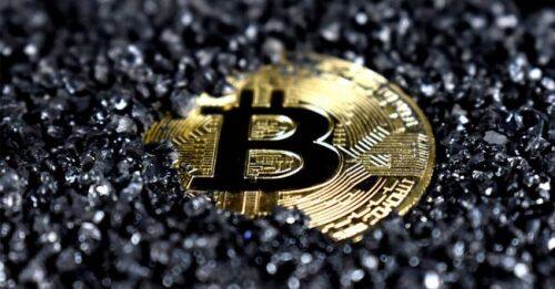 pig币猪币最新消息-第1张图片-区块家园