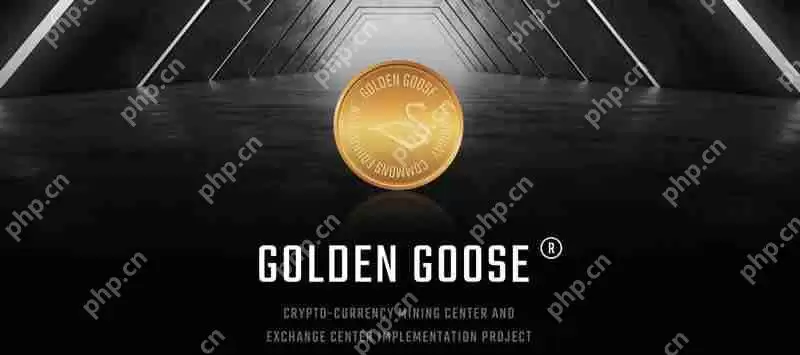 GOLD是什么币种?GOLD/黄金鹅币项目全面介绍