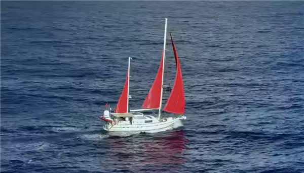 中国航海家环球南极洲途中遭抢劫：帆船遭毁灭性损伤 全船财物被偷走