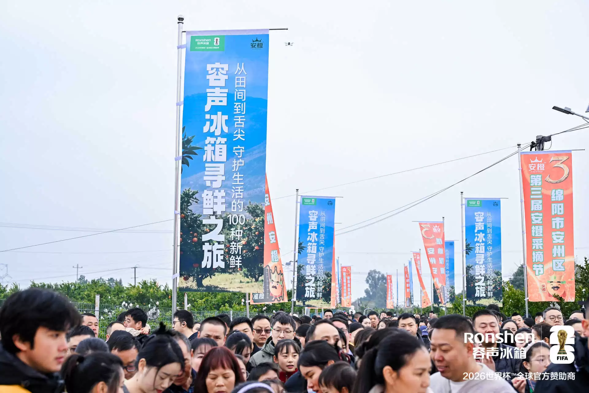 从枝头到舌尖:容声冰箱助力“安柠”鲜活直达黄金风味