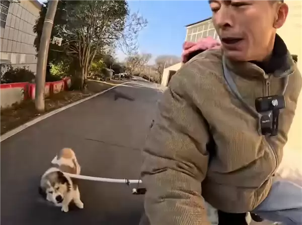 骑车怕被狗追?男子发明两代车载打狗棒 网友:实用又搞笑