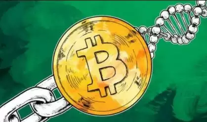 虚拟币平台排名前十_新加坡的数字货币平台插图4 虚拟币平台排名前十_新加坡的数字货币平台插图4