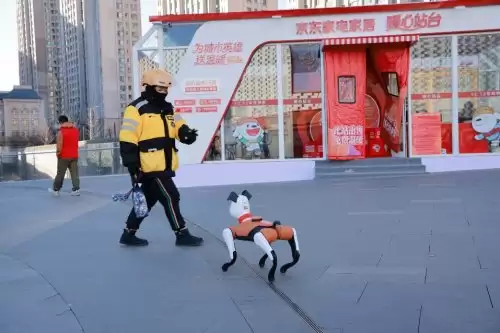 机器狗互动、机器人陪下棋 京东家电家居暖心站台落地大连