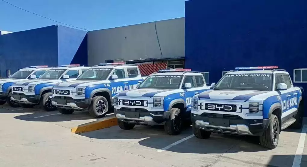 中国新能源车出口海外，比亚迪入选多国公务车