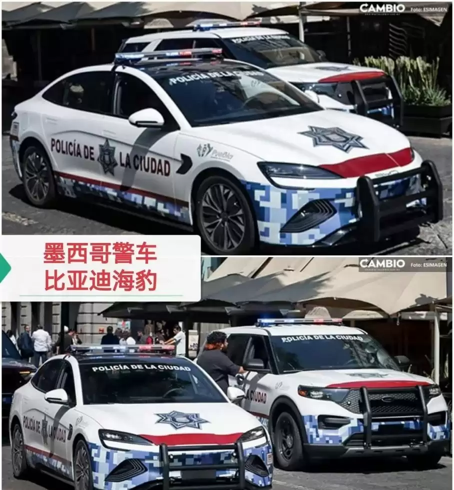 中国新能源车出口海外，比亚迪入选多国公务车