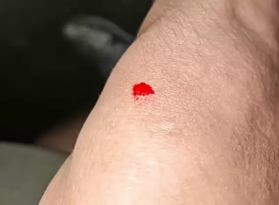 懂车帝刮洋葱称尊界S800音响罩设计危险!车主纷纷肉身开测反驳