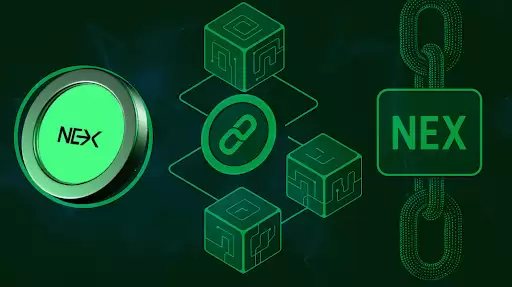 Nexchain，Tao和Near出现为3个最有前途的加密货币