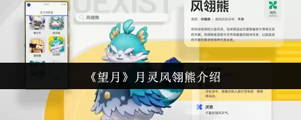 《望月》月灵风猋熊介绍