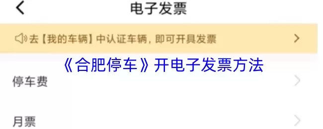 《合肥停车》开电子发票方法