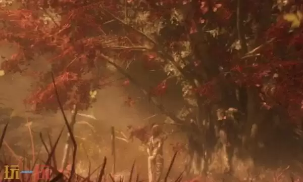 光与影33号远征队倒逆亲和效果分析：符文倒逆亲和作用详解