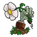 植物大战僵尸高难拓展