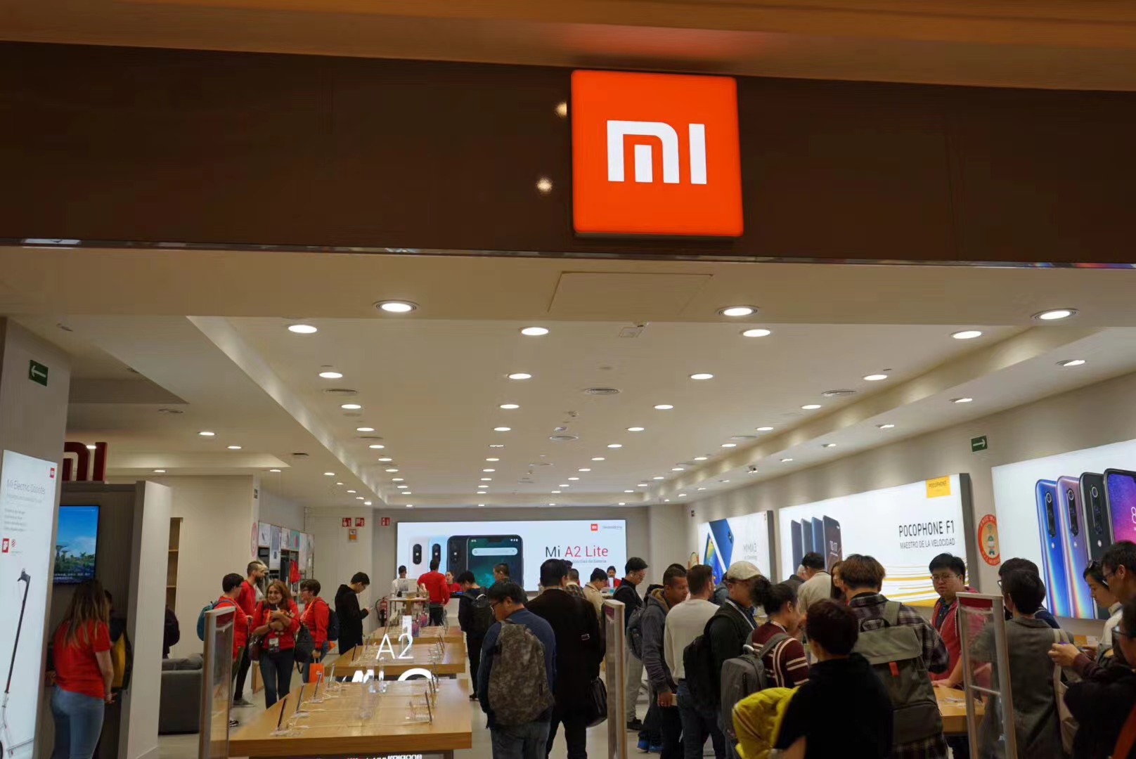 \ 64c2cfecee984c8ba98d6ef53eb547ea.png.jpeg