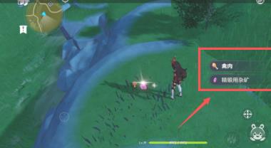 原神低语森林我的宝物怎么拿