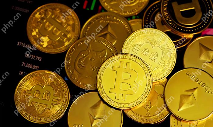 最早的比特币交易所在哪里_最早的比特币交易所是哪个 - php中文网