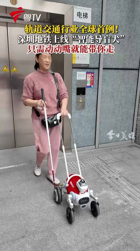 深圳地铁首推智能导盲犬小蒜 助力视障人士智慧出行