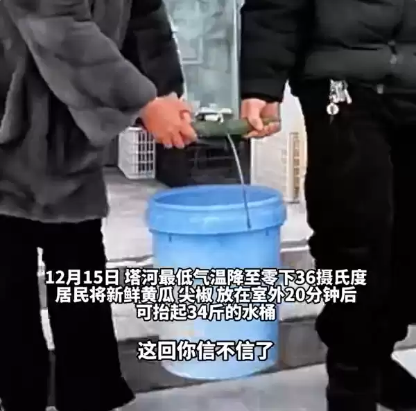 黑龙江冬天万物皆可速冻：黄瓜室外放20分钟能抬34斤水