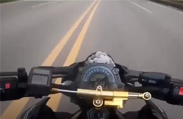 狂飙169km/h 两男子骑摩托车竞速还多次逆行超车：被撞到沟里