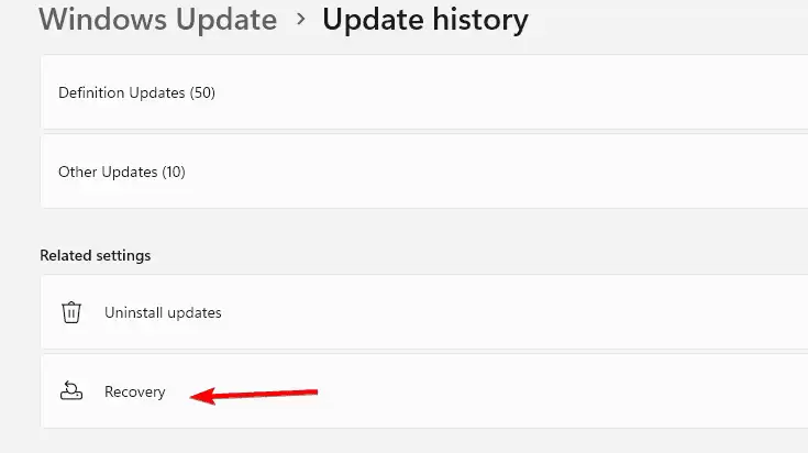 多名 Win11 用户反馈安装微软 12 月累积更新报错 0x800f0991