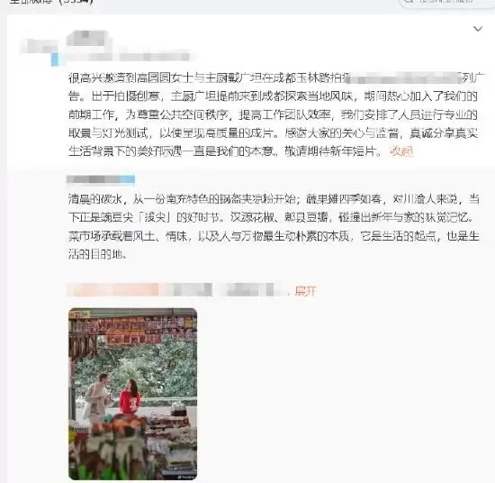 网传高圆圆综艺用替身 品牌方澄清：是光替 也非综艺
