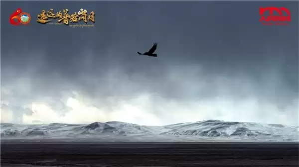 《遥远的普若岗日》上映背后,是绿联NAS私有云在海拔5000米上的默默守护