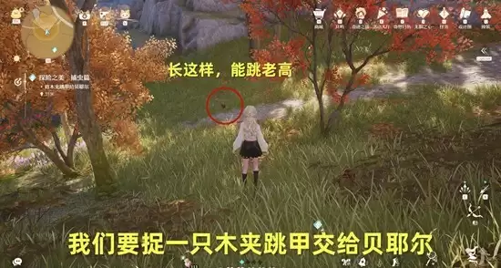 《无限暖暖》探险之美捕虫篇任务攻略