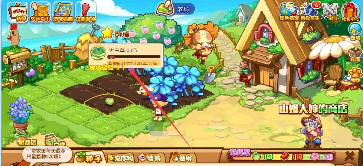 洛克王国白菜种子在哪里买2026