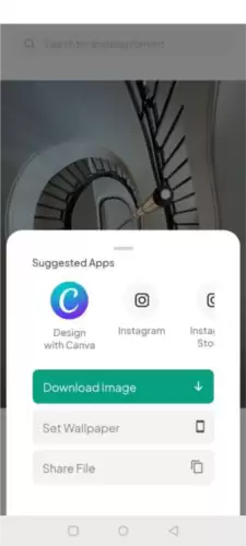 《pexels》下载图片方法