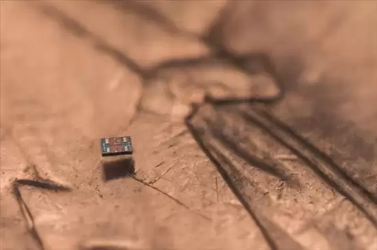 全球最小全自主微型机器人问世